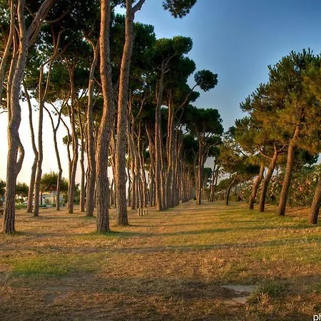 La Conchiglia - 아파트 피네토