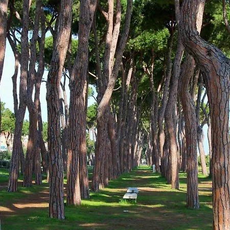 아파트 La Conchiglia - 피네토